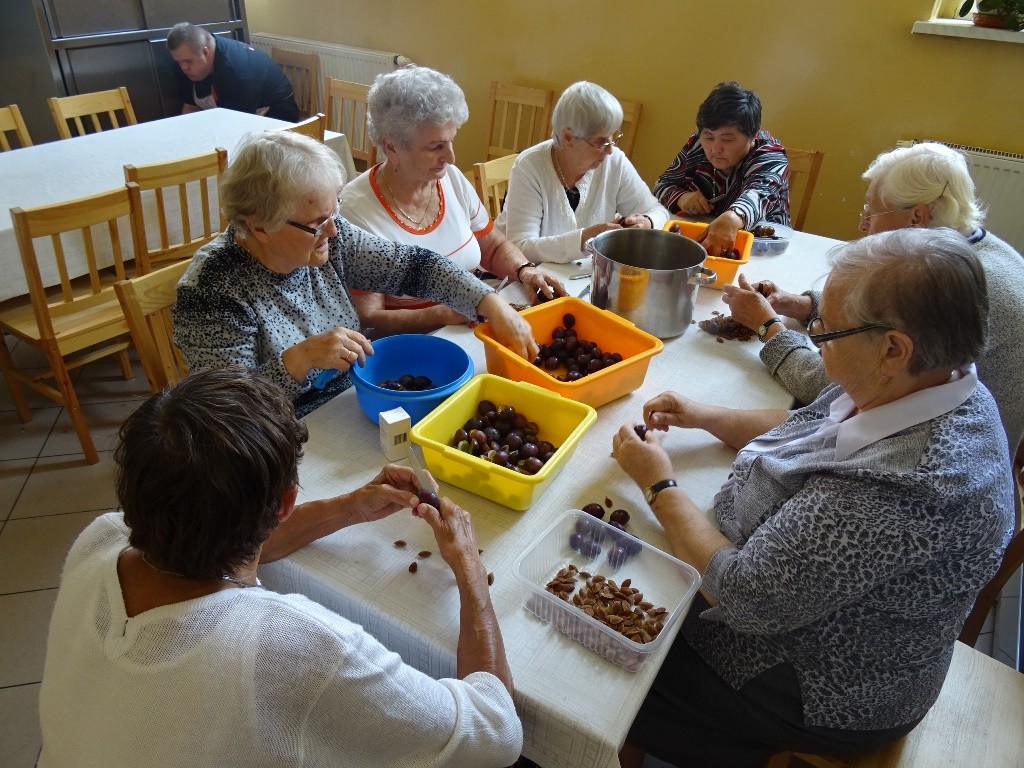 2018 Akcja ŚLIWKA