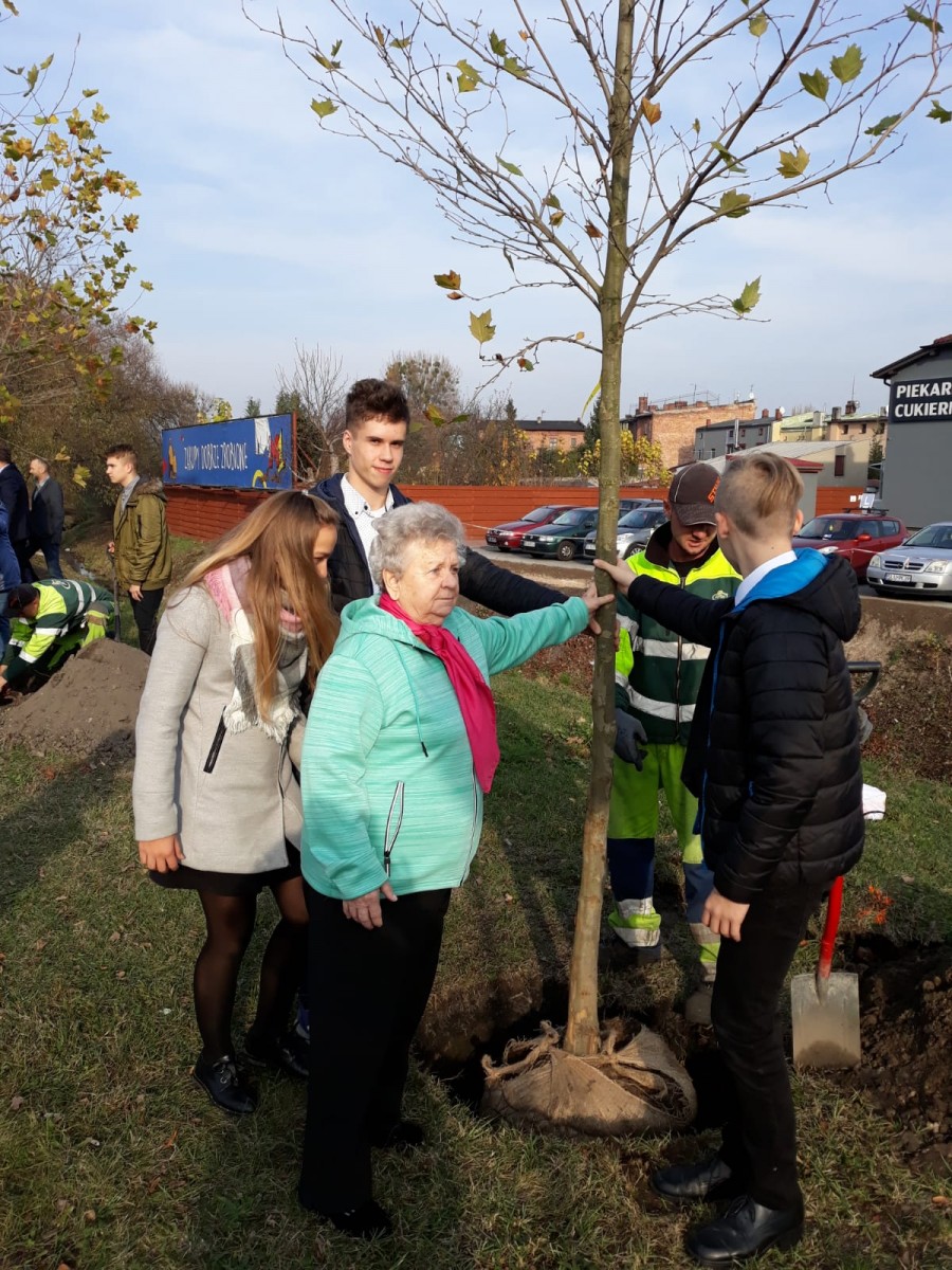 2018 Sadzenie platanów