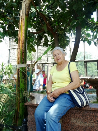 Zamek w Mosznej, 8