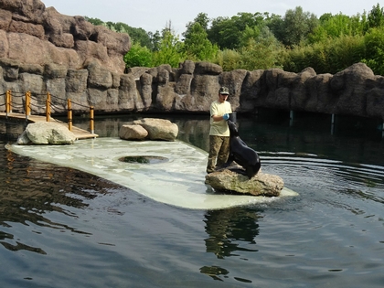 Zoo w Opolu 6