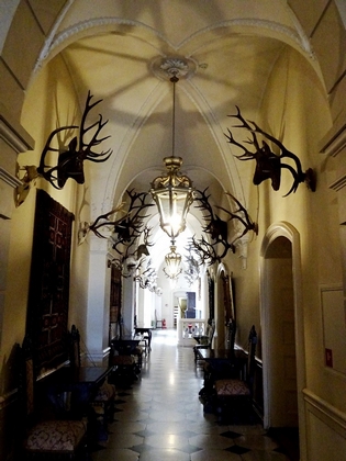 Pałac w Pszczynie 2